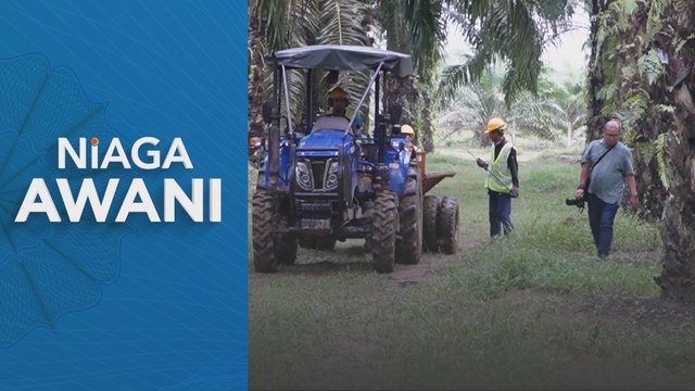 Niaga AWANI: Harga minyak sawit boleh cecah semula RM4,000 satu tan