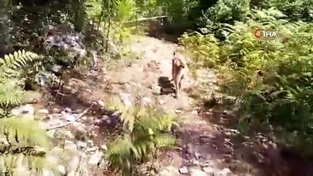 Mersin'de uyuşturucu operasyonu: Çok sayıda uyuşturucu madde ele geçirildi