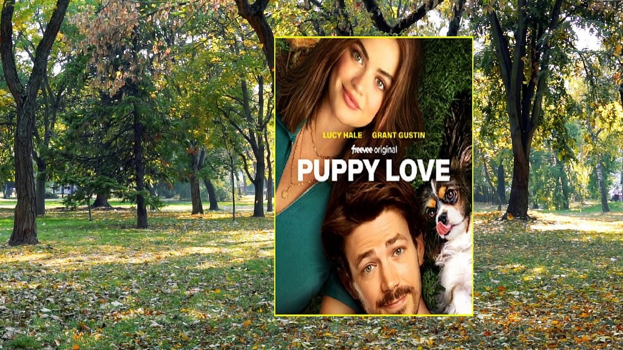 Puppy Love Ending Explained | Puppy Love Movie Ending | puppy love movie freevee | puppy love film