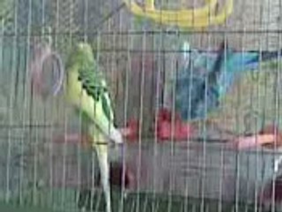 Видео030
