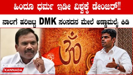 ಹಿಂದೂ ಧರ್ಮ ಅಪಾಯಕಾರಿ; ಜಾಗತಿಕ ಮಟ್ಟದಲ್ಲಿ ಜಾತಿ ಪದ್ದತಿ ಬೆಳೆಯಲು ಭಾರತ ಕಾರಣ; ಡಿಎಂಕೆ ಸಂಸದನ ಹೇಳಿಕೆ ವೈರಲ್