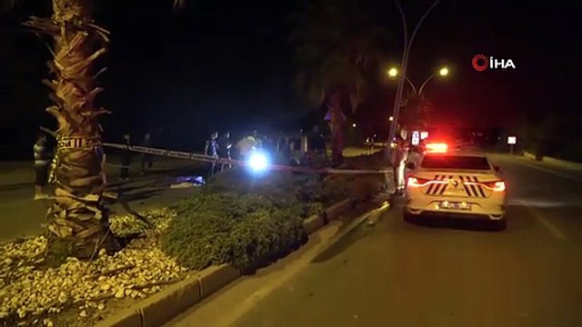Hafif ticari araç palmiye ağacına ve aydınlatma direğine çarptı: 2 ölü
