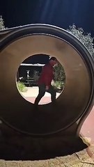 When Human Meets Hamster Wheel