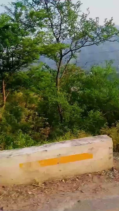 Kashmir velly beautiful view