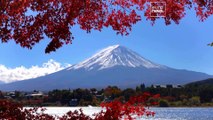 Overtourism: Japan's iconic Mount Fuji struggles with human traffic jams, rubbish and pollution