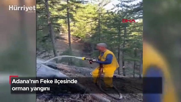 Adana Feke ilçesinde orman yangını