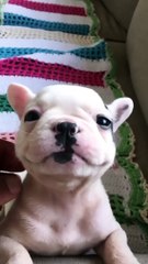 The sweetest smile for today ❤️