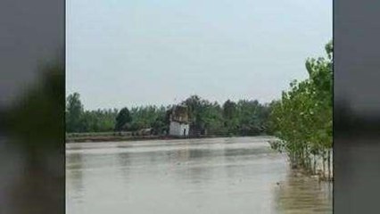 रामपुर: देखते ही देखते कोसी नदी में समा गया मंदिर, बाढ़ का प्रकोप जारी