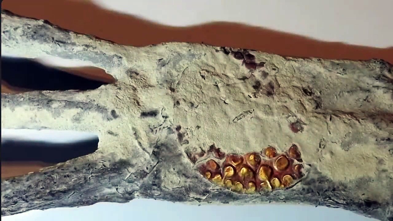 Alien Mummies of Peru