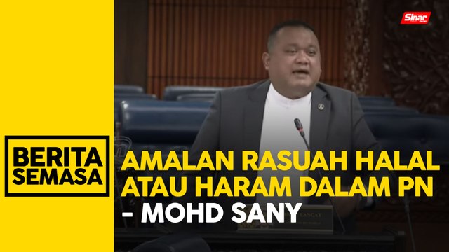 Sany, Che Mohamad Zulkifly 'bertikam lidah'