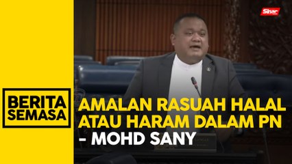 Sany, Che Mohamad Zulkifly 'bertikam lidah'