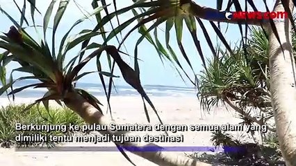 Intip Keindahan Pantai Padang Raya dengan Hamparan Pasir Putih