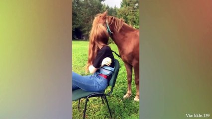 The funniest animals / Fun with cats and dogs 2023 / LA #16