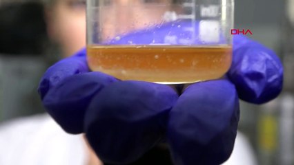 Akdeniz Üniversitesi, turunçgiller atıklarından limonen ve pektin üretti