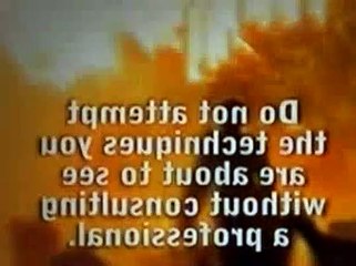 The Dog Whisperer Season 4 Episode 5 Reggie, Diva, Rocco, Vito And Mugsy