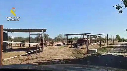 La Guardia Civil libera a un trabajador de un centro hípico de Tarragona al que explotaban en una cuadra