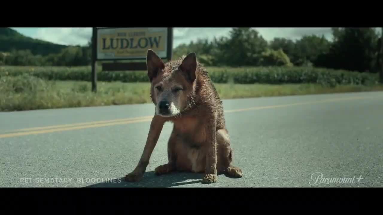 Pet Sematary: Bloodlines trailer