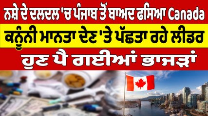 ਨਸ਼ੇ ਦੇ ਦਲਦਲ 'ਚ ਪੰਜਾਬ ਤੋਂ ਬਾਅਦ ਫਸਿਆ Canada ਕਨੂੰਨੀ ਮਾਨਤਾ ਦੇਣ 'ਤੇ ਪੱਛਤਾ ਰਹੇ ਲੀਡਰ ਹੁਣ ਪੈ ਗਈਆਂ ਭਾਜੜਾਂ |