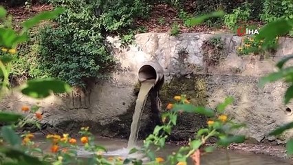 Çaya akan atık su kokusu çevreye rahatsızlık veriyor