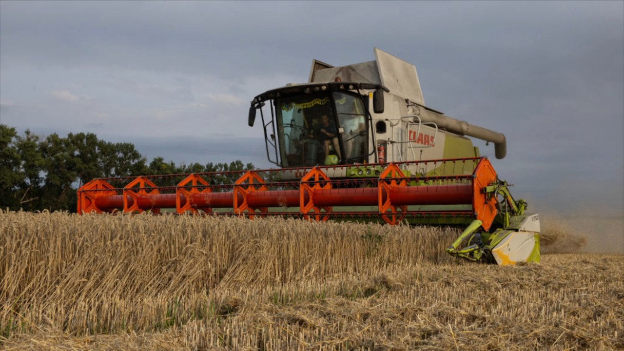 Erntehelfer verunglückt tödlich mit Traktor