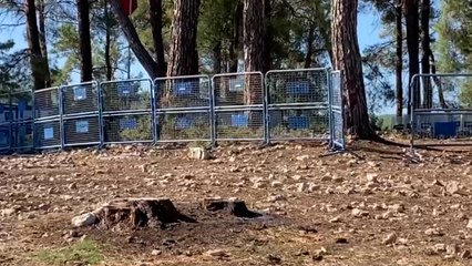 Akbelen ormanında tarlada uyudular, yarınki keşfi bekliyorlar