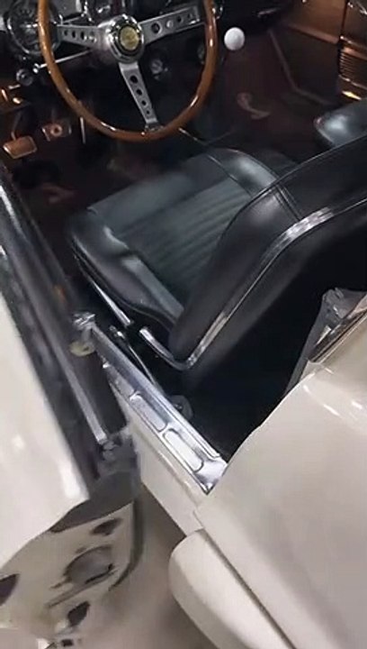 Shelby Mustang Gt500 Super Snake 1967