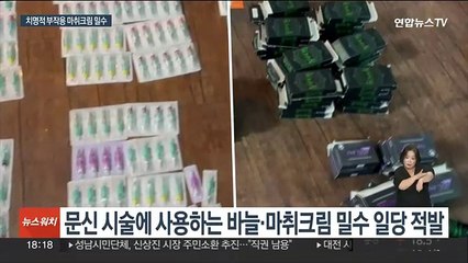 기준치 1.5배 마취크림 등 문신용품 밀수 일당 적발