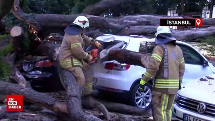 İstanbul’da rüzgar ağacı aracın üzerine devirdi! 51 daire icralık oldu