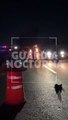 #Preliminar Tras ser embestido por un vehículo, un hombre murió sobre el cruce de carretera a Chapala y carretera a El Salto #GuardiaNocturna