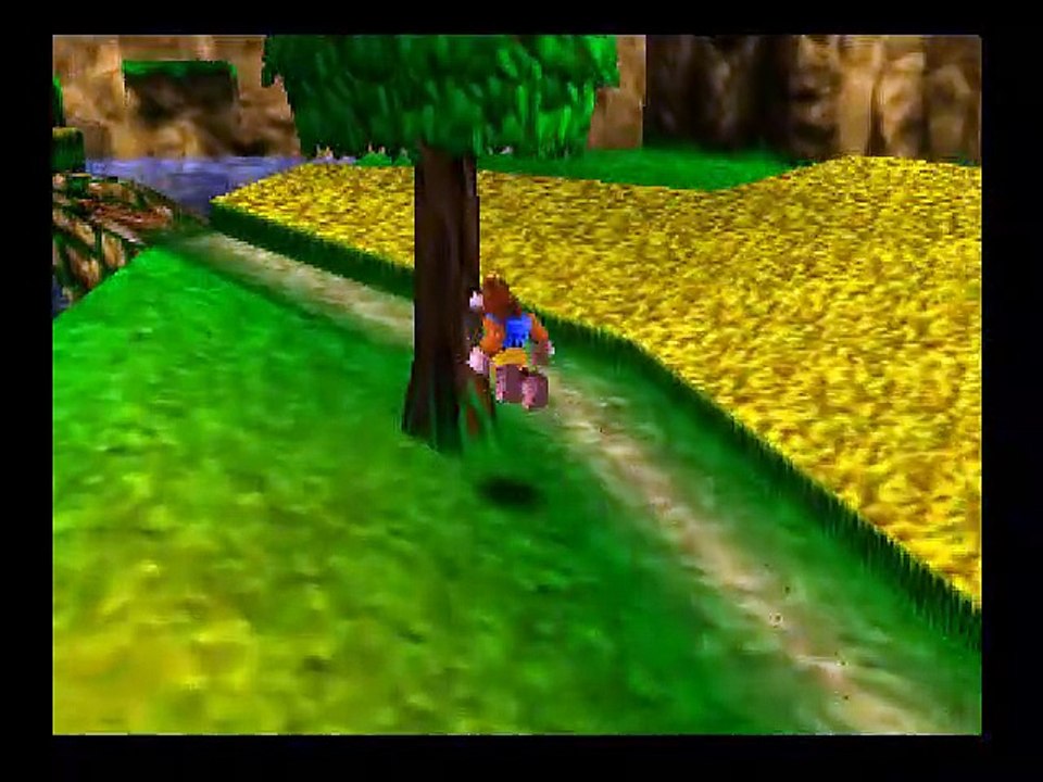 Banjo-Kazooie online multiplayer - n64