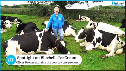 Spotlight on Bluebells ice cream