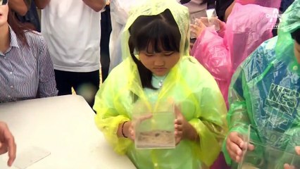 54년 만에 돌아온 소똥구리…충남 태안에 200마리 방사