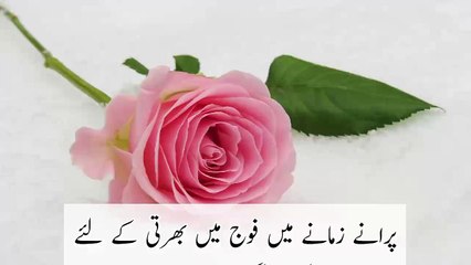 Funny Stories || Moral Stories in Urdu || Mujhe Sharm Aati hai || Stories in Urdu || Hindi story || Tameh writes ||