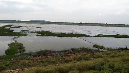 Filling could not be done, filth is spreading due to water hyacinth, even NAPA is not trying to clean it.