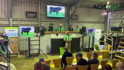 Landfall Angus donates to RAW | Stock & Land | September 13, 2023