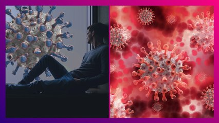 Nipah Virus: Kerala-য় নিপা আতঙ্ক, সংক্রমিত ৪, বিচ্ছিন্ন করা হল ৭টি গ্রাম