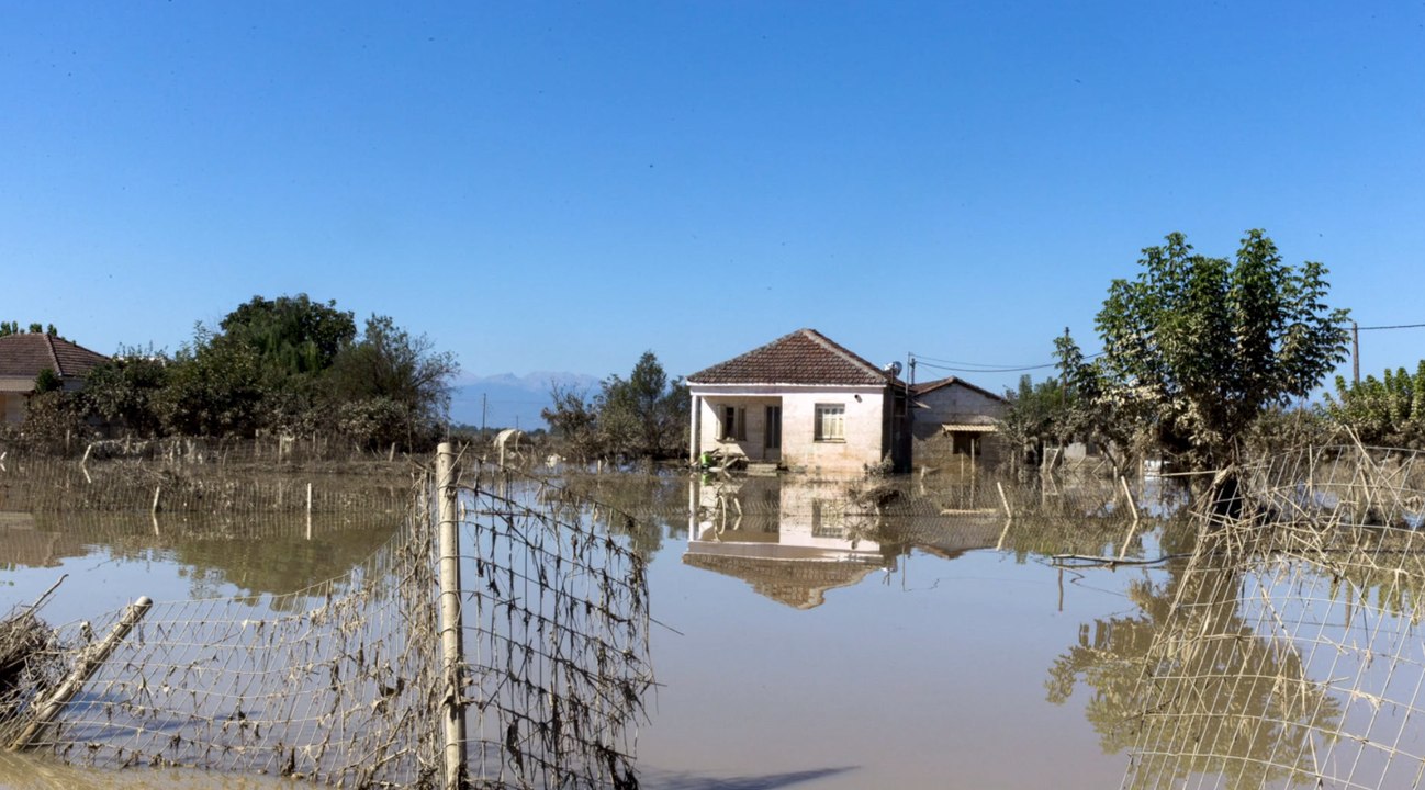 Griechenland: tausende tierkadaver sorgen für gesundheitsrisiken
