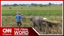 Some farmers in Pangasinan start harvesting rice | The Final Word
