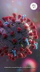 Des soldats sans arme présents dans ton corps !