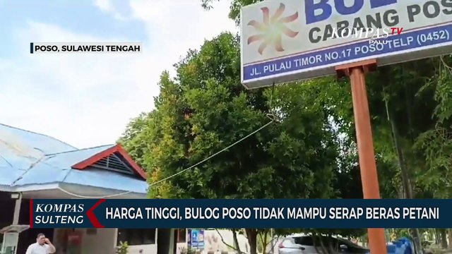 Harga Tinggi, Bulog Poso Tidak Mampu Serap Beras Petani