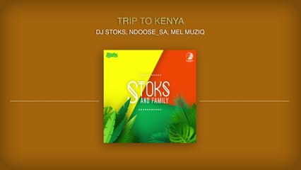 DJ Stoks - Trip To Kenya (Visualizer)