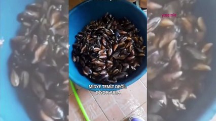 Görüntüler şoke etti! Midye temizliği yapan kadından gündem olan sözler