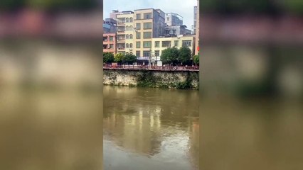 Dramatic footage of heroic bystander jumping into fast-flowing river to rescue little girl that got swept away