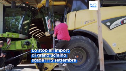 La storia di Andrzej Sobolewski, agricoltore polacco alle prese con la concorrenza del grano di Kiev