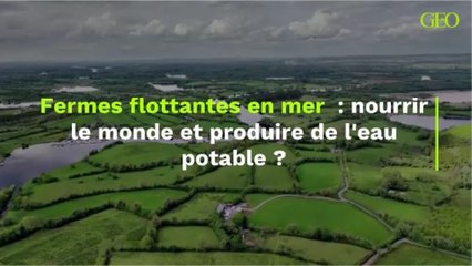 Fermes flottantes en mer : nourrir le monde et produire de l'eau potable ?