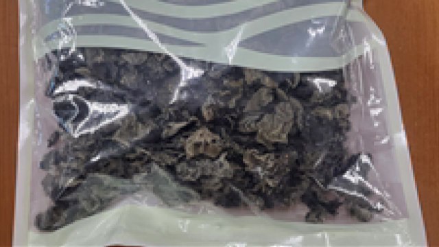 식약처, 잔류농약 기준 넘은 중국산 목이버섯 회수 / YTN