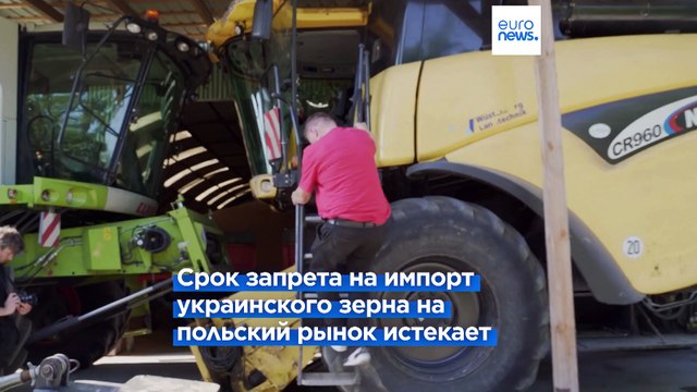 Польские фермеры надеются, что Варшава продлит запрет на импорт украинского зерна