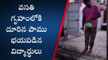 ప్రకాశం: 6 అడుగుల జర్రిపోతు కలకలం