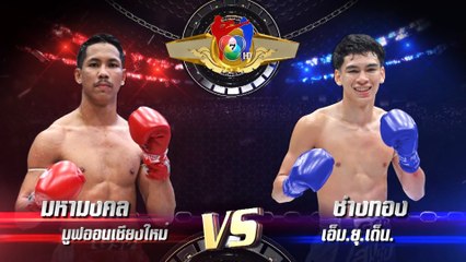 ถ่ายทอดสดมวยไทย7สี มหามงคล มูฟออนเชียงใหม่ vs ช่างทอง เอ็ม.ยุ.เด็น 17 ก.ย.66
