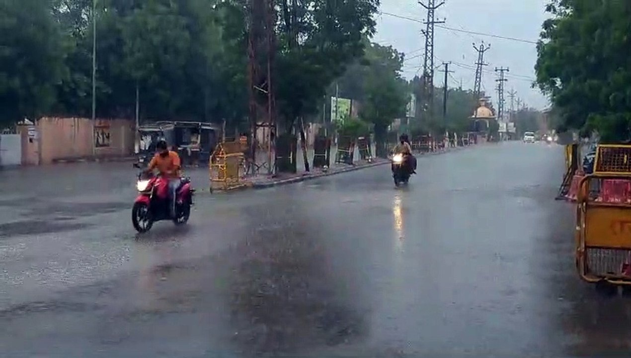 बर्बादी की बारिश : खेतों में कटी फसलें तो मंडी...